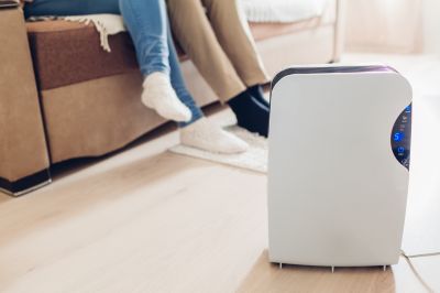 Dehumidifier Repair in Annapolis, MD